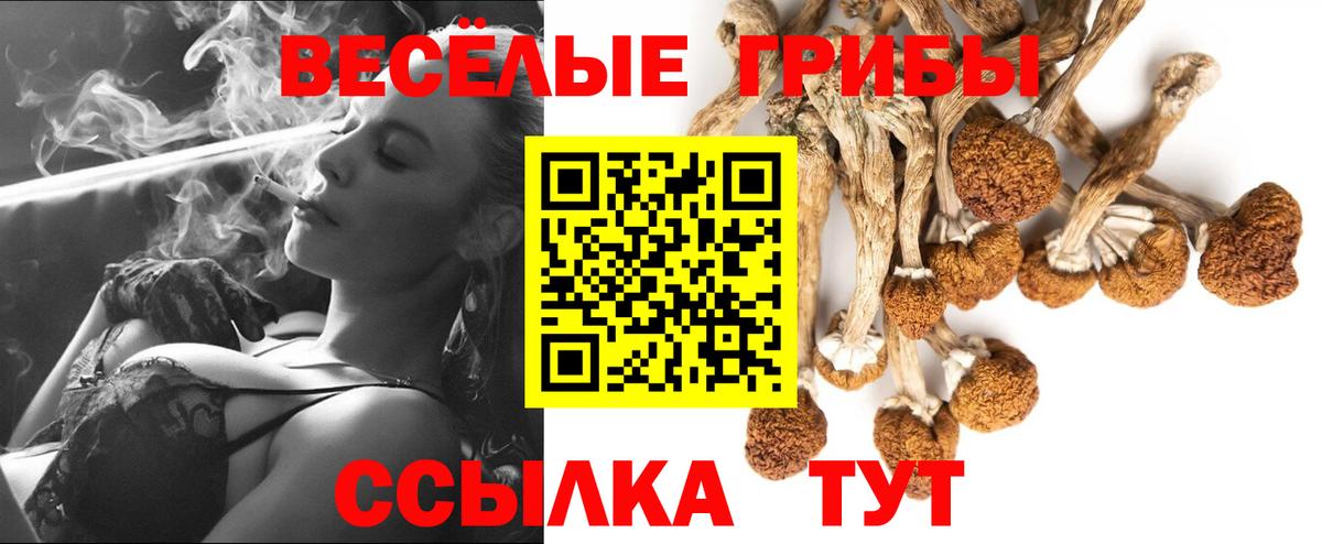 Псилоцибиновые грибы GOLDEN TEACHER Куйбышев