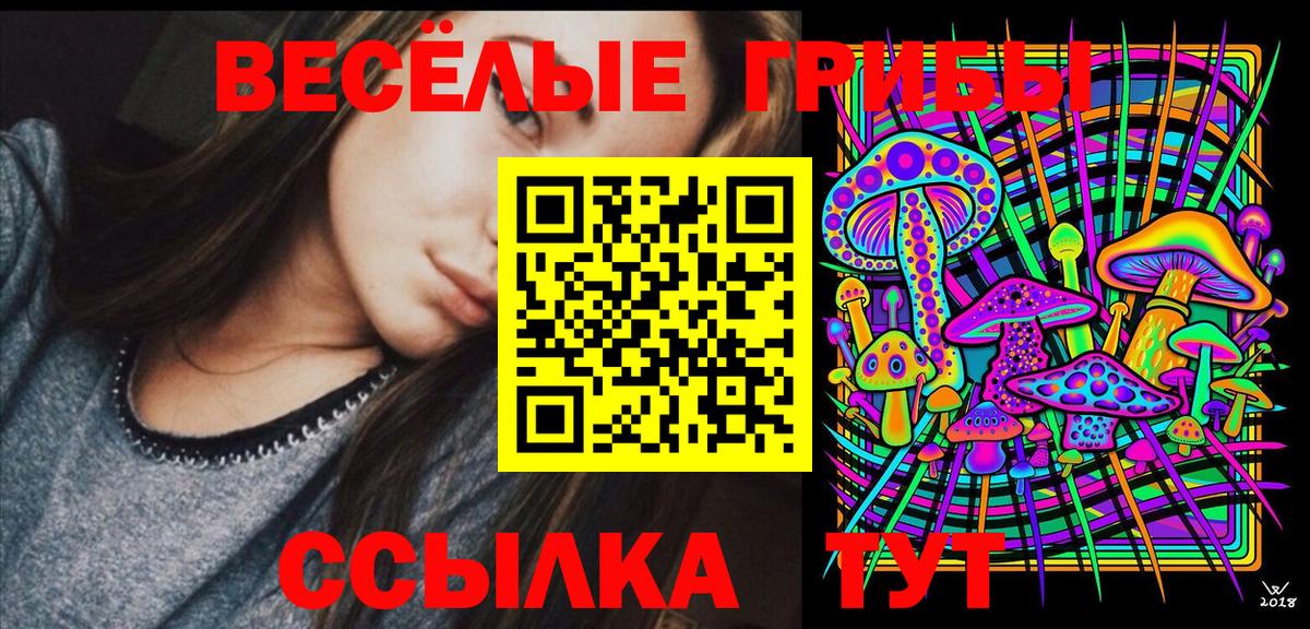 Псилоцибиновые грибы прущие грибы  Вход с VPN  Куйбышев 